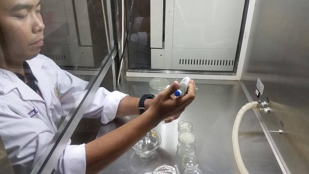 Mahasiswa UNY Berinovasi Membuat Sabun Pencuci Tangan dari Daun Jambu