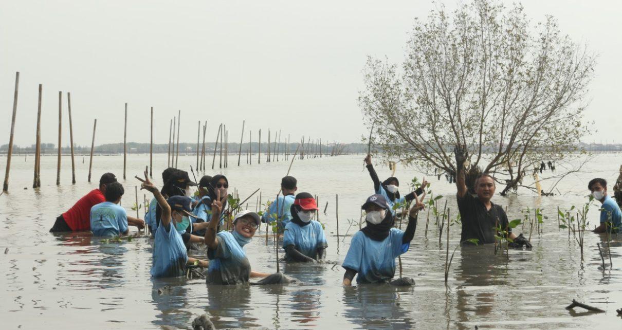 TANAM. Penanaman 1000 bibit mangrove oleh GenBI Korkom Semarang dan warga setempat. (foto: ist)