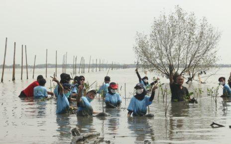 TANAM. Penanaman 1000 bibit mangrove oleh GenBI Korkom Semarang dan warga setempat. (foto: ist)