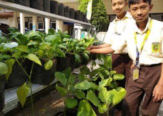 TANAM. Siswa SMP Mutual Kota Magelang menfaatkan pot untuk bercocok tanam. (foto: ist)