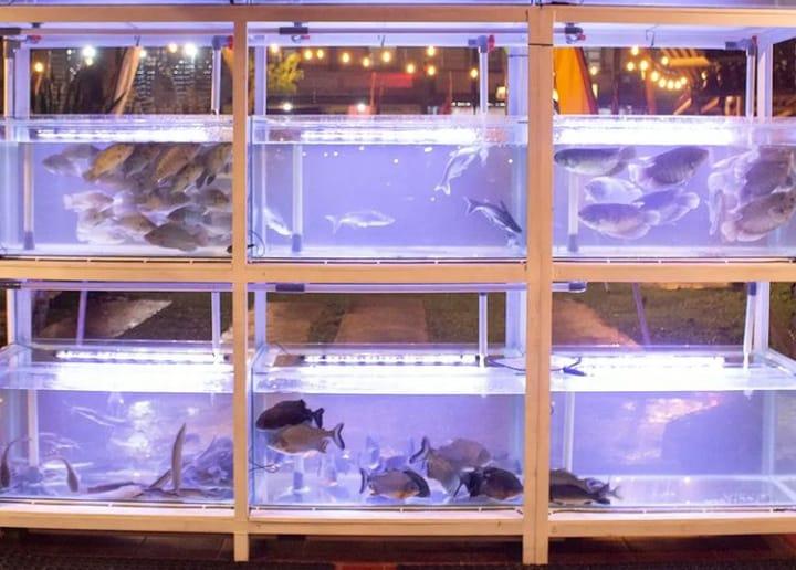 IKAN SEGAR. Ikan segar di Rumah Makan Amis-amis bisa dipilih sendiri sebelum dimasak. (foto: Instagram)