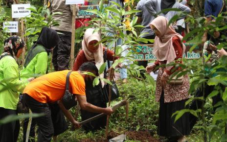 POHON. Penanaman pohon di Bukit Silumut di Desa Margoyoso, Kecamatan Salaman, Kabupaten Magelang, Jawa Tengah, Sabtu (19/11/2022). (foto: istimewa)
