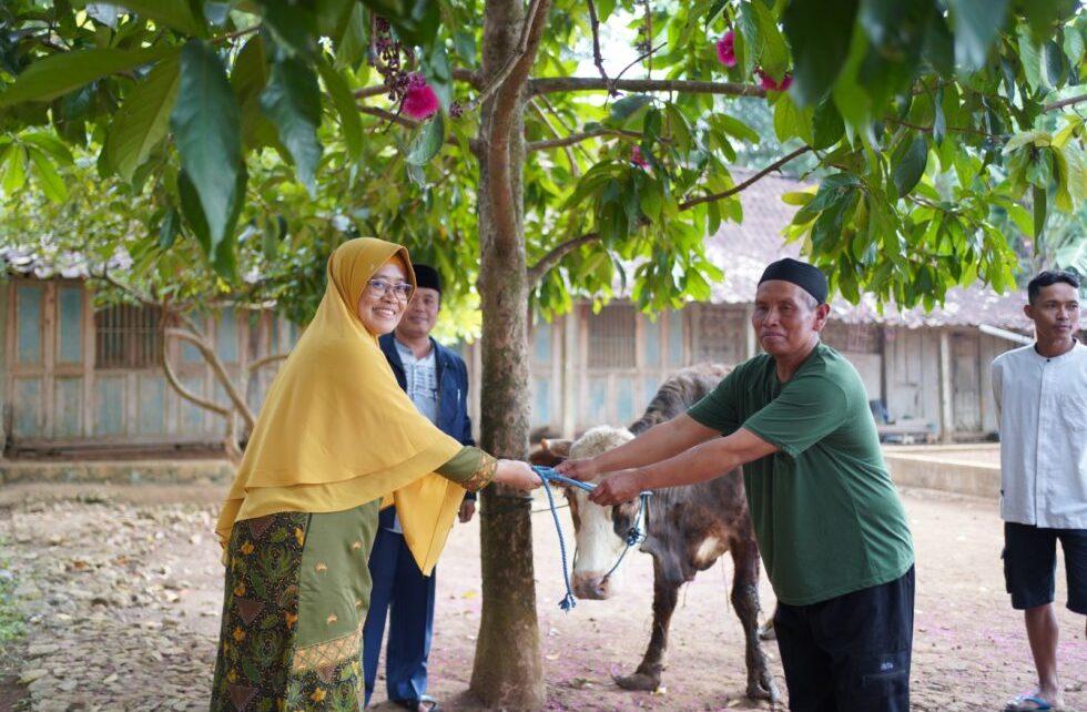 MENYERAHKAN. Rektor UNIMMA, Dr. Lilik Andriyani, SE., MSI menyerahkan hewan kurban kepada Darto, tokoh masyarakat di Dusun Butuh, Desa Candirejo, Borobudur, Kabupaten Magelang. (foto: unimma)