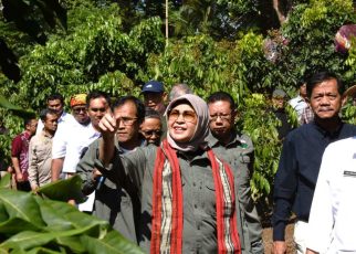 TINJAU. Direktur Jenderal Pengelolaan Daerah Aliran Sungai dan Rehabilitasi Hutan Kementerian LHK Dyah Murtiningsih meninjau lokasi proyek RHL dan rehabilitasi DAS di Bukit Menoreh, di Desa Ngadirejo, Kecamatan Salaman, Kamis (19/9/2024). (foto: ist)