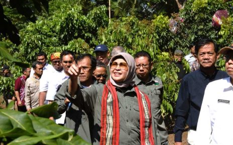 TINJAU. Direktur Jenderal Pengelolaan Daerah Aliran Sungai dan Rehabilitasi Hutan Kementerian LHK Dyah Murtiningsih meninjau lokasi proyek RHL dan rehabilitasi DAS di Bukit Menoreh, di Desa Ngadirejo, Kecamatan Salaman, Kamis (19/9/2024). (foto: ist)